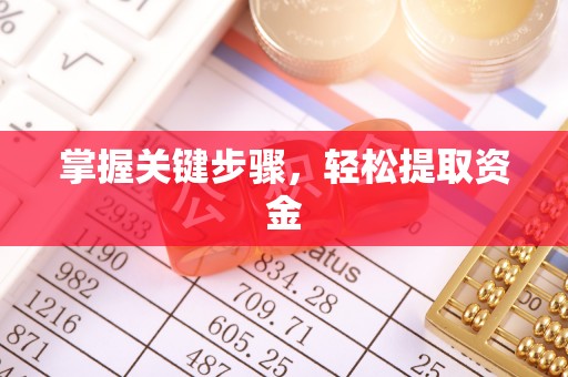 里港掌握关键步骤，轻松提取资金