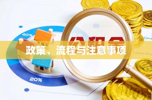 里港政策、流程与注意事项